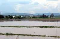 Grandes pérdidas han ocasionado las lluvias en la mayoría de las parcelas del estado de Querétaro. En la gráfica, afectaciones en el municipio de El Marquez.