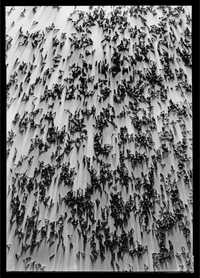 Explosión, s/f. Son algunas de las fotografías de Agustín Jiménez (1901-1974), hechas en plata sobre gelatina –pertenecientes a la Colección María Jiménez–, que desde hoy se exhiben en el Museo de Arte Moderno