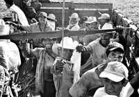 Trabajadores se dirigen al ingenio de Tlacotalpan, Veracruz, para comenzar el corte de caña de azúcar. Archivo