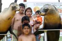 Visitantes de la playa artificial de Magdalena Contreras se divierten en un espectáculo de leones marinos