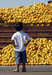 Productores rurales argentinos tiraron fruta sobre los caminos que mantienen bloqueados desde hace más de dos semanas en rechazo a un impuesto a la exportación de granos. En la imagen, un menor observa el tiradero de naranjas en una carretera cerca de Gualeguaychú