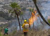 Personal de Protección Civil controló un incendio en una zona de pastizales al oriente de Chilpancingo
