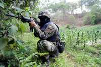 Un miembro del décimo batallón de infanteria de marina participa en la destrucción, el lunes pasado, de un plantío de mariguana en la sierra de Coalcomán