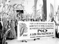 Indígenas y campesinos de comunidades serranas marcharon ayer por las calles de la ciudad de Chihuahua, para exigir a las autoridades estatales y federales la protección a las variedades nativas de maíz