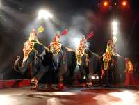 El número de los elefantes es uno de los tradicionales en el arte circense