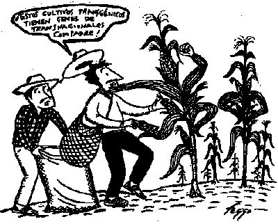 1F-Cultivos Transgenicos