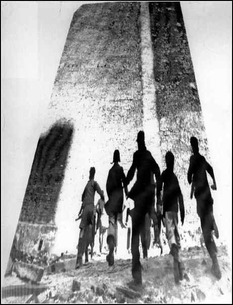 oja-portada
