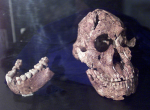 SCIENCE_SKULL