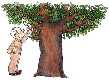 CONSERVACION