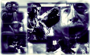 amores perros