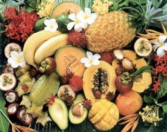irradiacion de alimentos