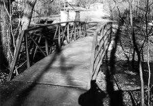 bridge