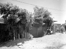 mas-casa.jpg