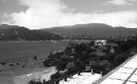 zihua2