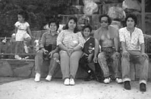 pollos 2