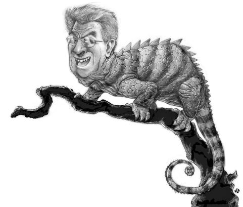 camaleon