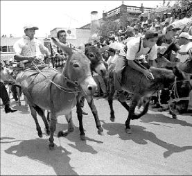 vs-burro-feria-otumba-jpg