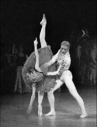 quixote