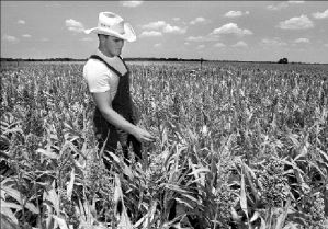 us-texas- heat wave-farm-25