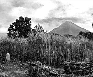 volcan-colima