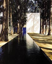 Las Arboledas, Ciudad de México. Foto de Armando Salas Portugal