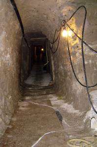 <I>Narcotunel</I> Fronterizo <I>Narcotunel</I> Fronterizo