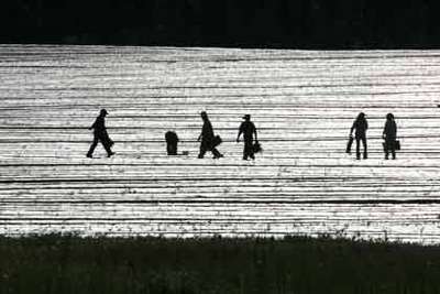 La reforma migratoria se encoge La reforma migratoria se encoge