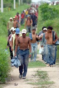 Playa del Carmen: submundo de miseria entre el lujo
