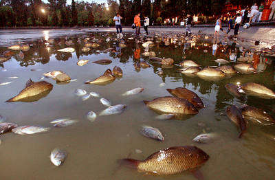 Fuga en el Lago de Chapultepec