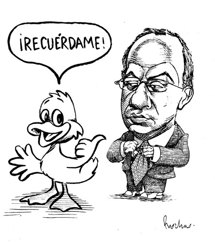 Rocha