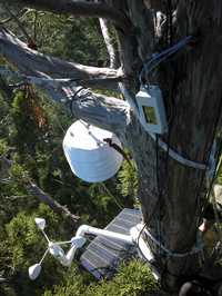 Diversos sensores -para medir viento, temperatura y savia- instalados en un bosque de Australia