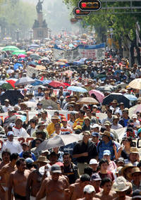 RUMBO A LOS PINOS RUMBO A LOS PINOS