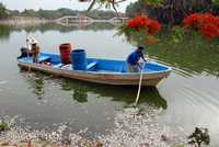 Trabajadores del ayuntamiento de Centro, Tabasco, recogen centenares de peces que amanecieron muertos en la Laguna de las Ilusiones, ubicada en el parque Tomás Garrido, a un lado del museo arqueológico de La Venta. Vecinos responsabilizaron de la mortandad al Sistema de Agua y Saneamiento Metropolitano (SASM)