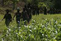 Zapatistas se enfilan rumbo al caracol Morelia para asistir al encuentro