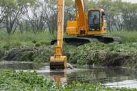 Retiro de lirio acuático y limpia del cauce del río Lerma, en Toluca, estado de México, para evitar su desbordamiento en esta temporada de lluvias