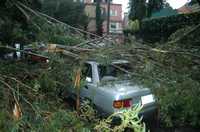 Debido a la fuerte lluvia y viento que se registró en la zona sur de la ciudad, un árbol cayó encima de este auto en la colonia Arenal Tepepan, sin que se reportaran lesionados
