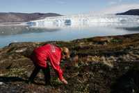 Mandatarios como la canciller alemana, Angela Merkel, quien atestiguó el derretimiento del glaciar Ilulissat en Groenlandia en agosto pasado, han advertido de la necesidad de aplicar medidas urgentes contra el calentamiento global