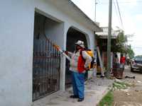 Personal de limpieza del ayuntamiento de Tampico, Tamaulipas, realiza tareas de fumigación para combatir el mosco transmisor del dengue. No obstante, los lugareños aseguraron que los trabajadores "nomás vienen a hacerse güeyes, a tomarse la foto", pues no llevaban la sustancia necesaria para eliminar la larva del insecto