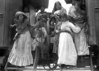 La Adelita, célebre fotografía tomada por Jerónimo Hernández, en 1912. La emblemática imagen de la Revolución mexicana, cuyo centenario se conmemorará en 2010, fue identificada en el número 27 de la revista Alquimia (mayo-agosto de 2006), mediante un ensayo de Miguel Angel Morales. El investigador descubrió que esa mujer tal vez fue cocinera de las tropas huertistas