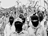 Campesinos zapatistas de Bolom Ajaw en una milpa que la Opddic amenazó destruir, en marzo pasado