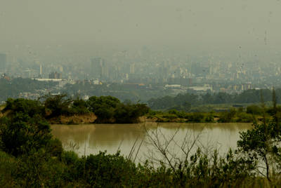 Amenaza el asfalto otra zona verde del DF