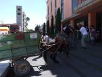 Pepenadores llevaron sus animales de carga hasta la alcaldía de Ecatepec para protestar por las altas cuotas que les impone la empresa Asiamez por uso del basurero