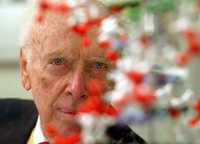 El codescubridor de la doble hélice de la estructura molecular del ADN, James Watson, ha levantado polémica en Inglaterra luego que un diario le atribuye la declaración que los negros africanos no son tan inteligentes como los blancos. Un ministro del gobierno británico, científicos y activistas de los derechos humanos, han condenado al ganador del Premio Nobel de medicina de 1962, acusándolo de racista