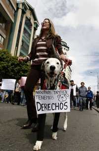 Una opositora marcha en La Paz con su mascota en protesta por la muerte de cuatro perros a manos de los ponchos rojos