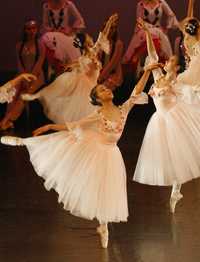 Alumnas de la Academia Mexicana de la Danza, durante la presentación del ballet El Cascanueces y el rey de los ratones, en 2006, montaje que presentan hoy y mañana en el Monumento a la Revolución