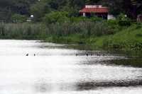 La laguna de Tarimoya, uno de los cuerpos de agua que existen en el puerto de Veracruz y que está en riesgo de desaparecer