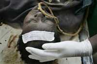 El cuerpo de una mujer estrangulada yace en un depósito de cadáveres en Eldoret