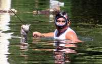 Algunos pobladores de la comunidad Raudales Malpaso, en el municipio de Tecpatán, Chiapas, aprovechan para pescar mojarras tilapias en algunas zonas inundadas por el incremento en el nivel del río Grijalva