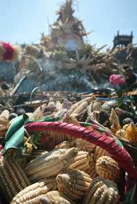 Mazorcas de diversas variedades de maíz llegaron ayer al Zócalo, adonde ayer arribó la caravana de activistas procedente de Puebla