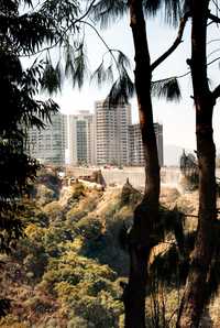 La mayoría de los edificios construidos en la zona llegan hasta el fondo de las barrancas El Zapote y La Diferencia, las cuales son usadas como canales de desagüe, sin importar las afectaciones a la vegetación